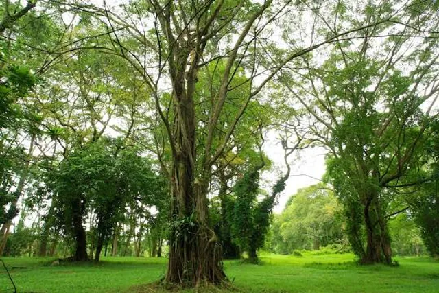 Bidadari Park