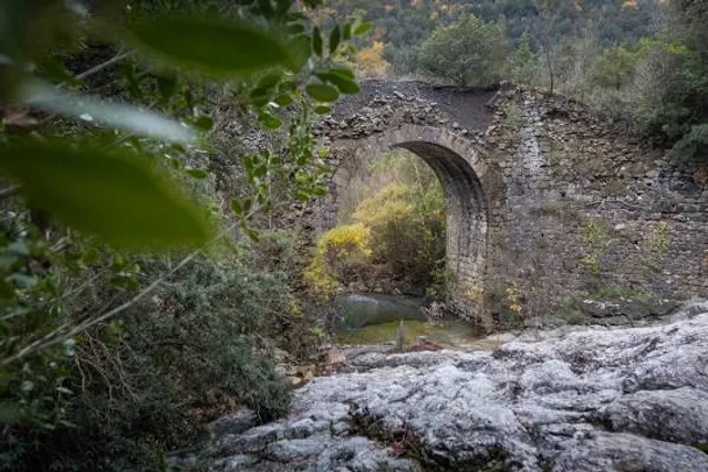 Riserva Naturale di Caselli