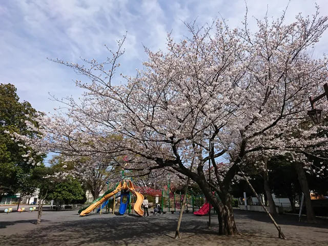 place image