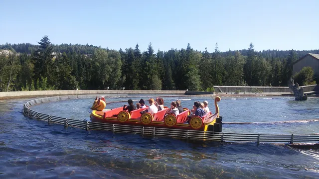photo-2