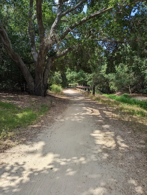 West Coyote Hills Tree Park
