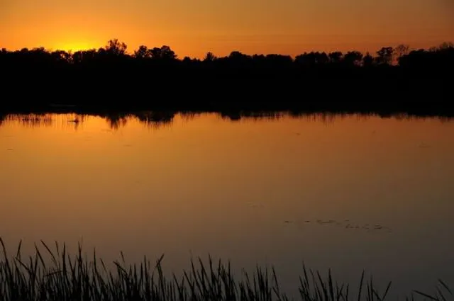 Sandhill State Wildlife Area