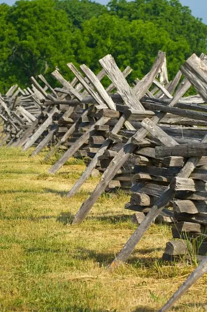 Friends of Sears Island