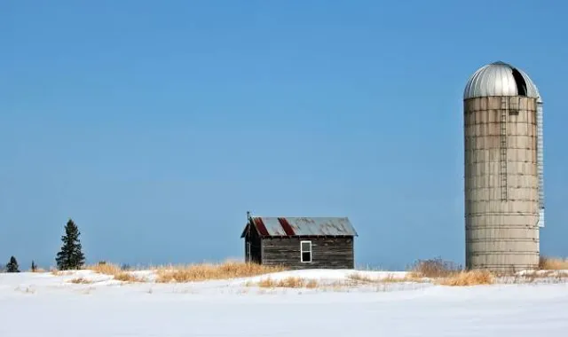 Hinchley's Dairy Farm Tours