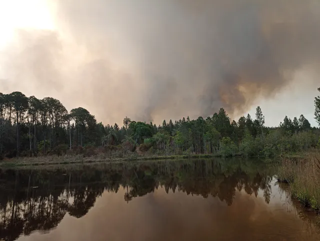 Estação Ecológica Mogi Guaçu
