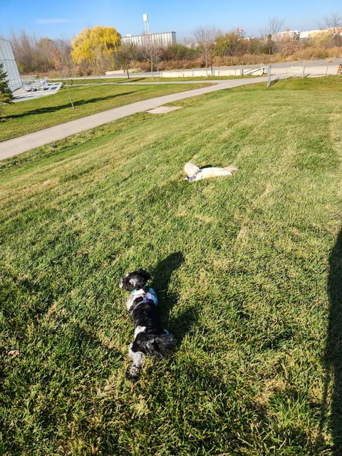 Sesquicentennial Park