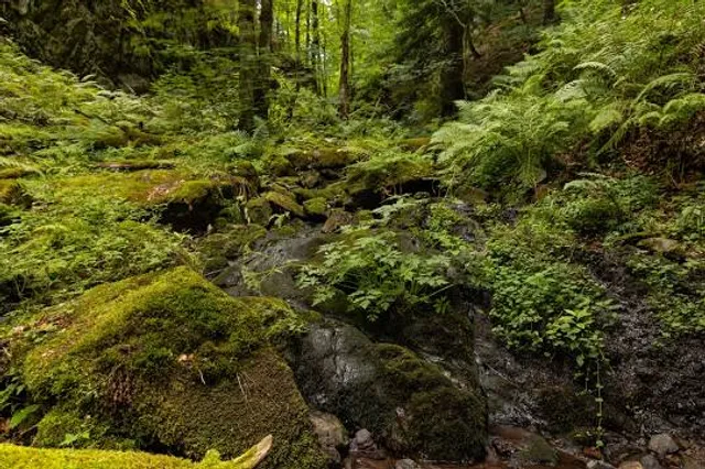 Finsteres Loch (Touringen Stempel 145)