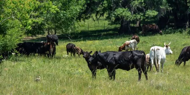 Hugo Voeten Beeldentuin