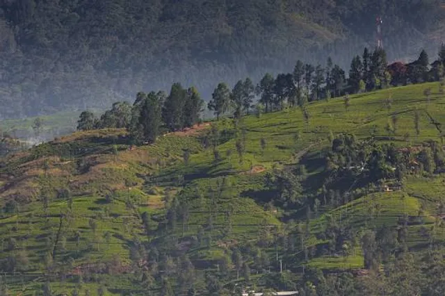 Wisata Agro Puncak Tombo