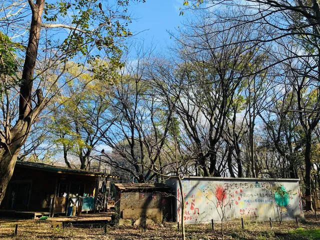 子どもたちの森公園（プレーパーク）