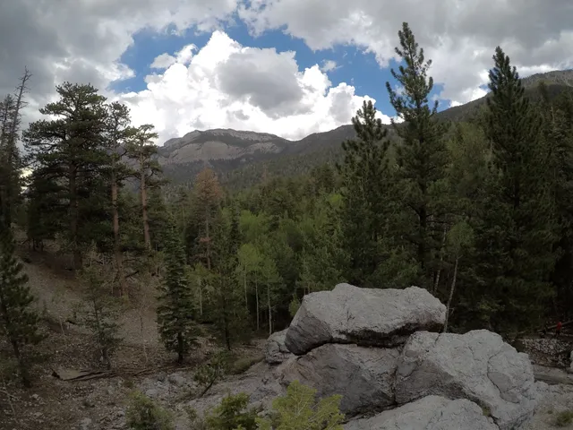 Spring Mountains National Recreation Area