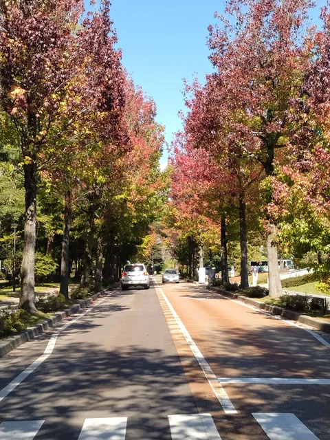 Shiinoki Green Space