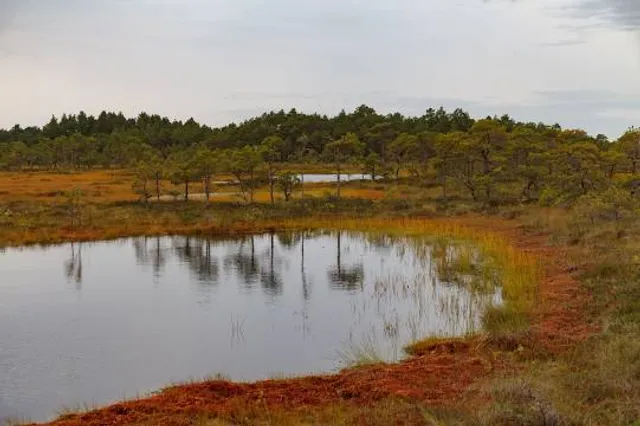 Hüpassaare õpperada