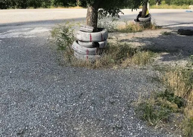 Cleo's Ferry Museum & Nature Trail