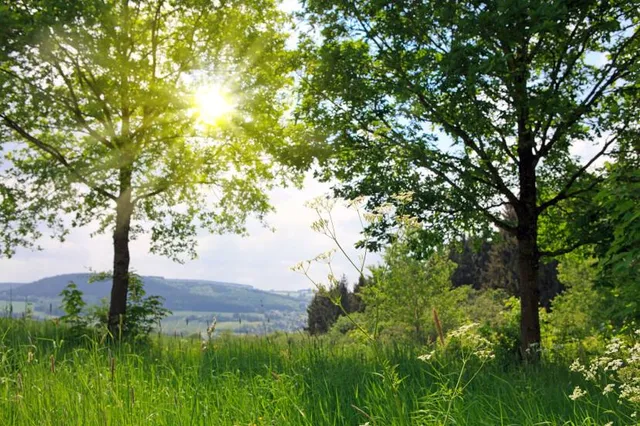 Dönche Nature Reserve