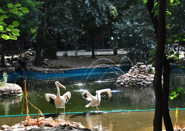 Varna Zoo