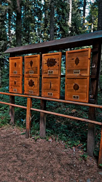 Orlovo oko ; Konan shape ; Eagle eye