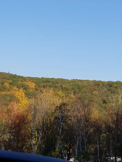 Mattatuck State Forest