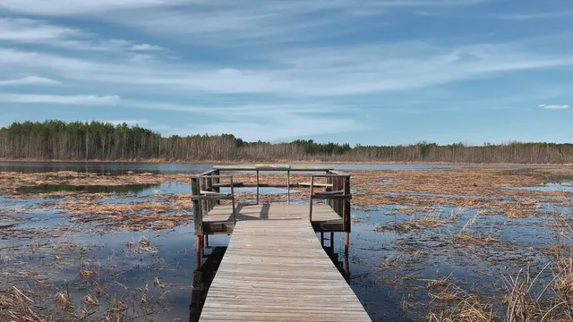 Clifford E. Lee Nature Sanctuary
