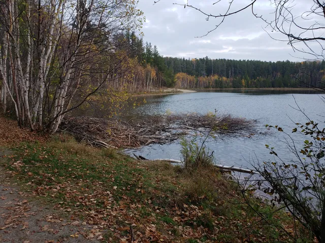 Hersey Lake Conservation Area
