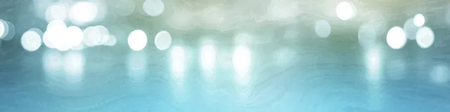 Key West Bight Marina