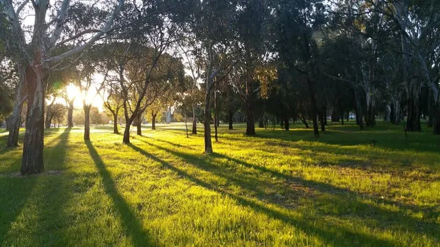 Carriageway Park / Tuthangga (Park 17)