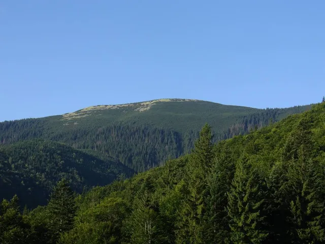 Perehinske Settlement Hromada