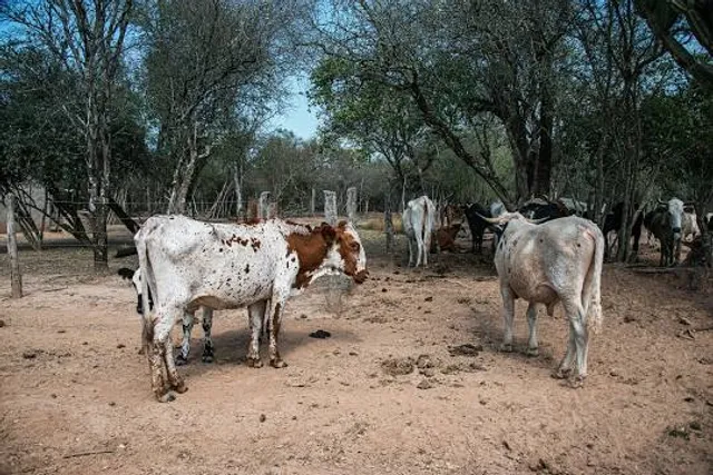 El Impenetrable National Park