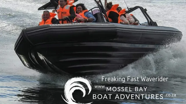 Mossel Bay Boat Adventures