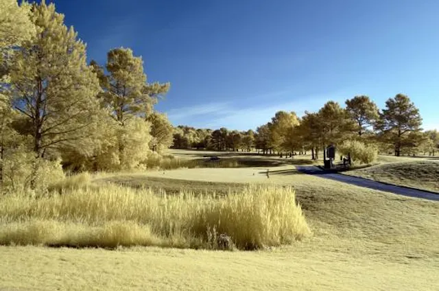 Eagle's Landing Golf Course