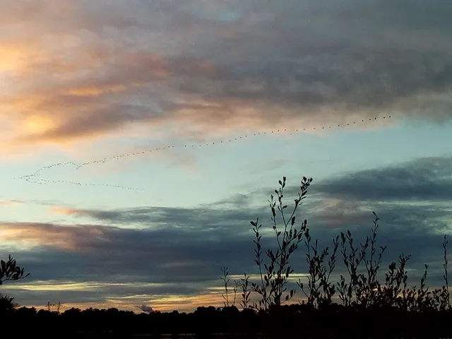 National Hunting Reserve and Wildlife Arjuzanx