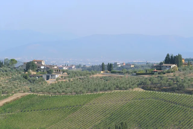 azienda agricola La Querce