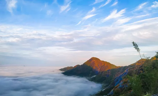 Kottappara Hilltop Viewpoint