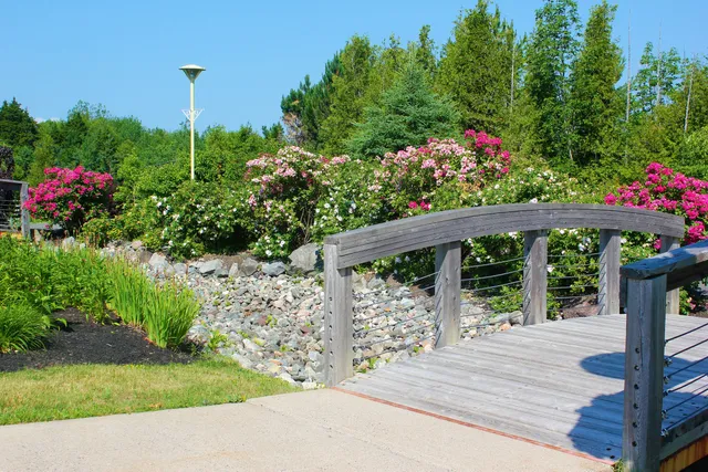 Arts and Culture Park