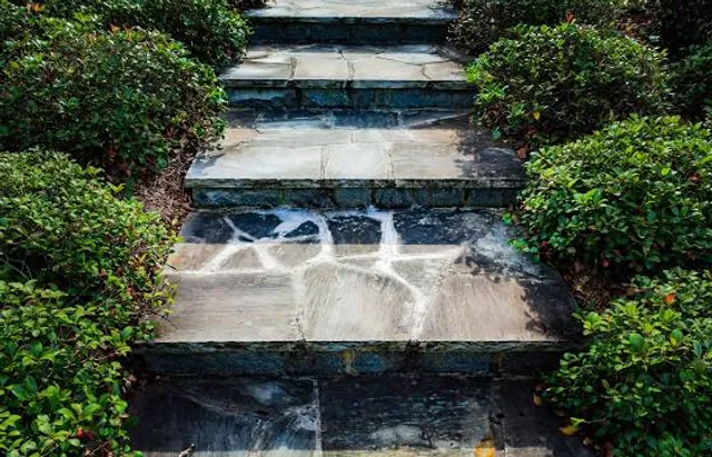 Grădina Zoologică Bârlad