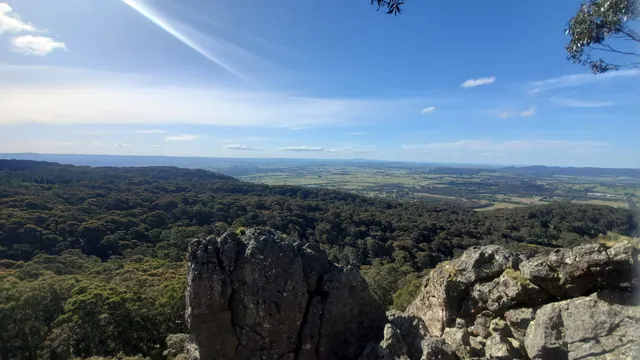 photo-1
