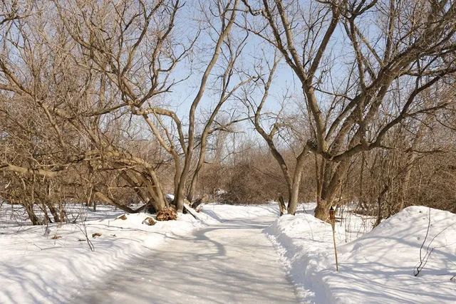 RiverOak Ice Skating Trail