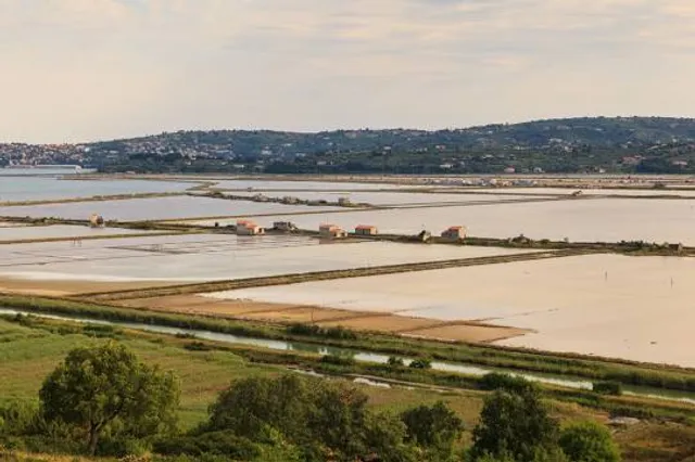 Sečovlje Saltpans Natural Park
