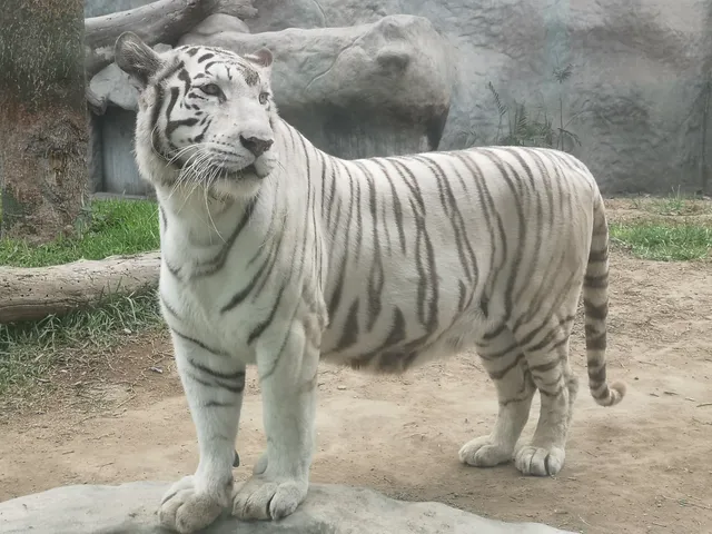 Parque Zoológico Huachipa