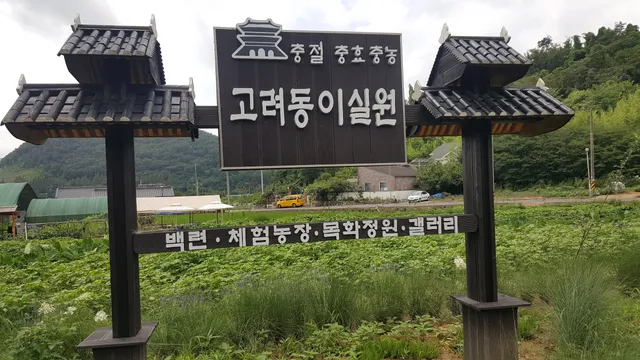 Prehistoric Site in Goryeodong, Haman
