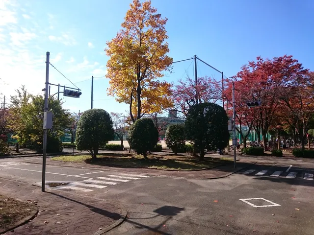 Shiba Children's Traffic Park