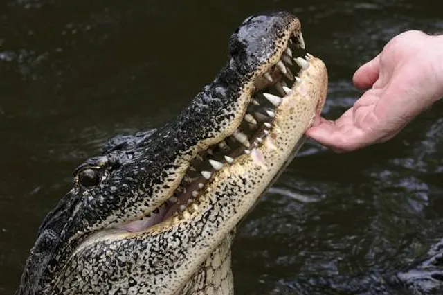 Região Geográfica Imediata de Itapetinga