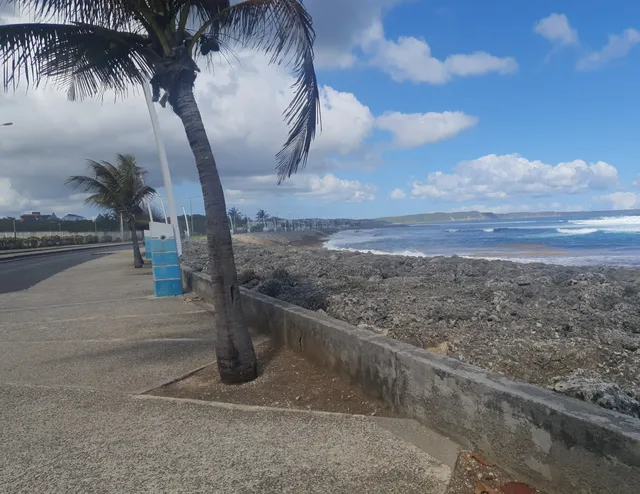 Parc Damencourt de la Baie du Moule