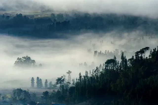 Canning River Regional Park