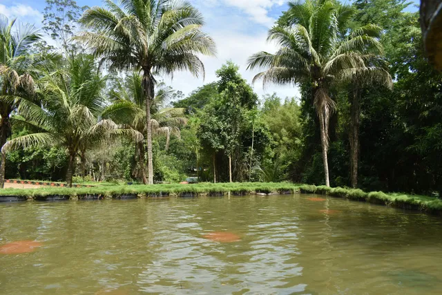 Parque Túnel da Alegria