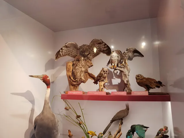 Muséum d'Histoire naturelle