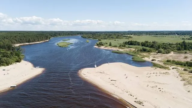 Gaujas ieteka jūrā