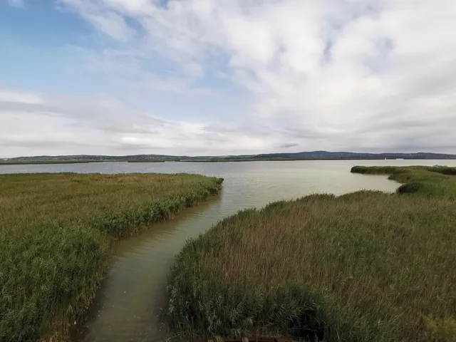Chernel István Madárvárta Agárd