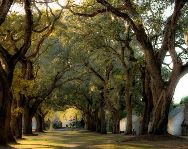 McLeod Plantation Historic Site