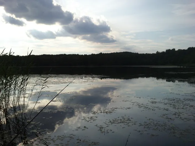 Jezioro Wójtowskie Małe